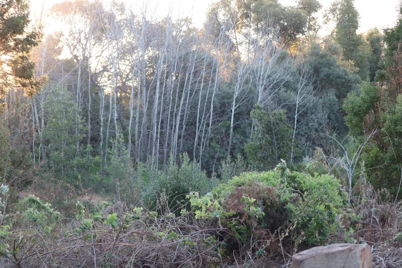 Piketberg Highlands Eco Estate酒店 外观 照片